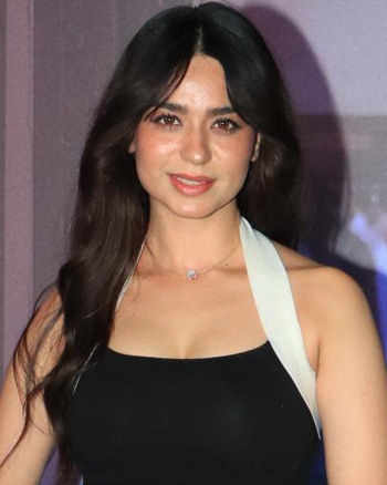 The Mehta Boys Premiere