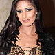 Poonam Pandey at Yuva Tigers Calendar Launch