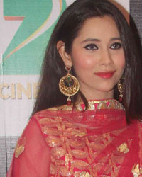 Zee Cine Awards 2016 Zee Cine Awards 2016