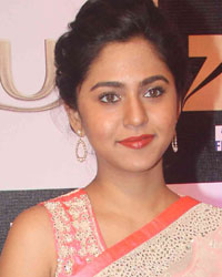 Zee Cine Awards 2016 Zee Cine Awards 2016