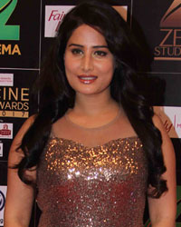 Zee Cine Awards 2017 Zee Cine Awards 2017