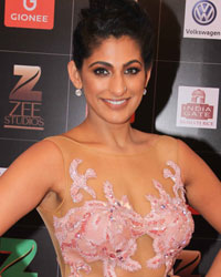 Kubra Sait at Zee Cine Awards 2017