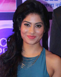 Zee TV Gold Awards 2016 Zee TV Gold Awards 2016