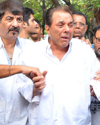 Dharmendra