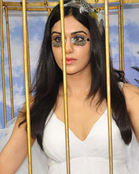 Adah Sharma participates in a campaign for PETA with a theme 'Birds Don't Belong in Cage'