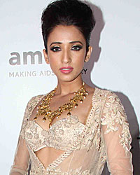 amfAR India Inauguration
