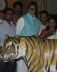 Amitabh Bachchan Endorses Tiger Conservation Project