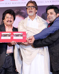 Amitabh Launches Destiny Album