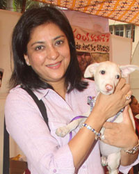 Animal Adoption Drive