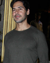 Dino Morea