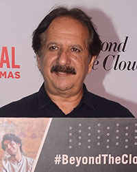 Majid Majidi