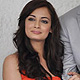 Dia Mirza and Zayed Khan