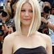 Cast member Gwyneth Paltrow poses for a photocall for Two Lovers by U.S. director James Gray