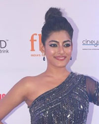 Celebs at FBB Colors Femina Miss India 2019