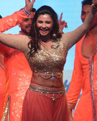 Daisy Shah