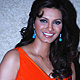 Diana Hayden