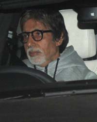 Amitabh and Abhishek Bachchan