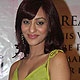 Vedita Pratap Singh