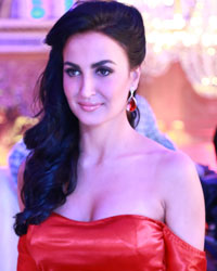 Elli Avram