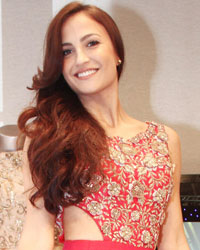 Elli Avram