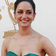 Archie Panjabi from television series 'The Good Wife' arrives at the 63rd Primetime Emmy Awards in Los Angeles