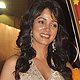 Global Indian Film and Television Honours-2011