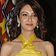 Global Indian Film and Television Honours-2011