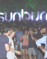 Goa Festival 2013