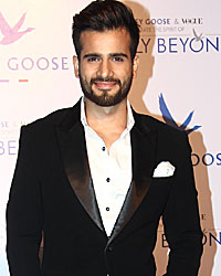 Grey Goose Fly Beyond Awards 2014