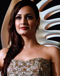 Dia Mirza poses on the green carpet before the 14th annual International Indian Film Academy (IIFA) awards show in Macau