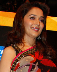 Madhuri Dixit poses for a picture during a news conference for her movie Gulaab Gang before the 14th annual International Indian Film Academy (IIFA) awards