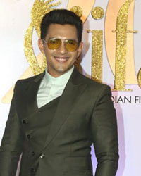 Aditya Narayan