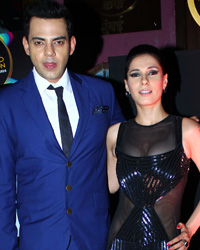 Indian Premiere Music Awards 2014