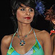 Indian Princess-2011 Bash