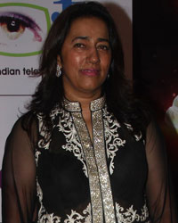 Indian Television Academy Awards 2014