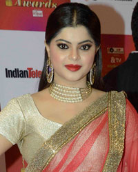 Indian Telly Awards 2015