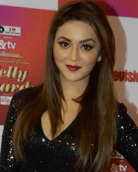 Indian Telly Awards 2015