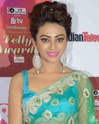 Indian Telly Awards 2015