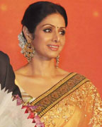 Salman Khan, Sridevi and Boney Kapoor