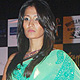 Jashn Fashion show and Calendar-2011 Launch