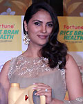 Lara Dutta and Atul Chuurvedi