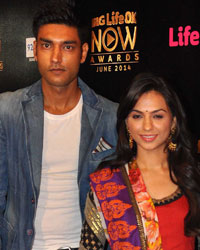 Life OK Now Awards 2014