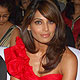 John Abraham and Bipasha Basu