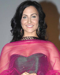 Elli Avram