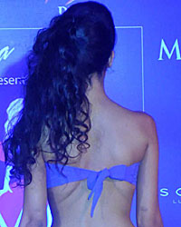 Miss Maxim 2014 Launch