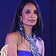 Suchitra Pillai