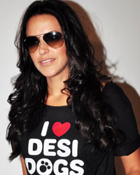 Neha Dhupia