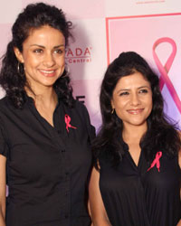 Pinkathon 2014 Press Meet