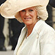 Britain's Prince Charles and his wife Camilla arrive at Westminster Abbey before the wedding of Britain's Prince William and Kate Middleton, in central London