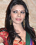 Sherlyn Chopra at Playboy press meet